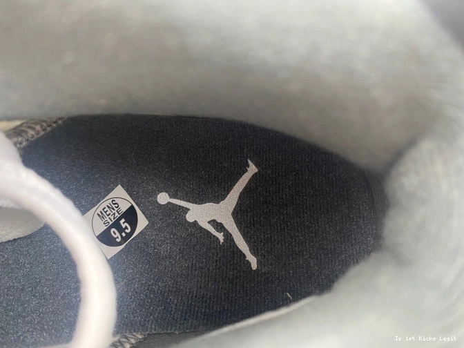Jordan 6 Grey CT8529-100 Air Cool 0721